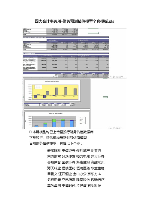 四大会计事务所-财务预测估值模型全套模板.xls