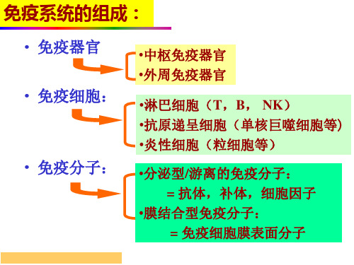 免疫学PPT课件