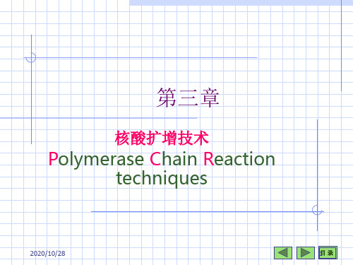 第三章 核酸扩增技术 ppt课件