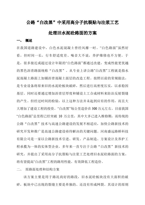 白改黑方案