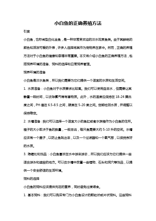 小白鱼的正确养殖方法