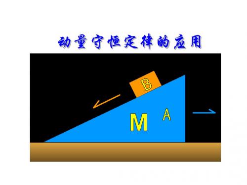 动量守恒定律的应用