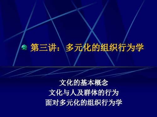 第三讲：多元化的组织行为学-PPT文档资料19页