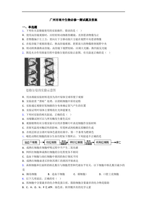 广州市高中生物必修一测试题及答案