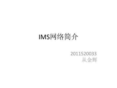 IMS网络简介