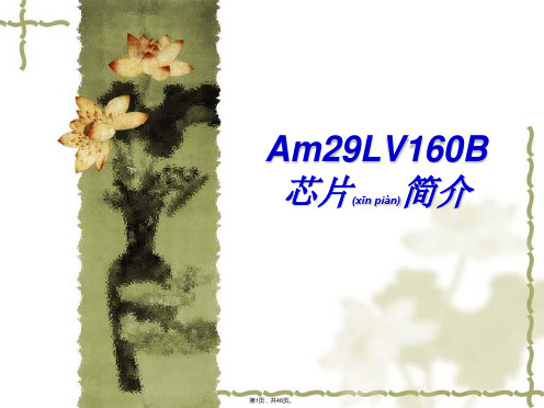 am29LV160B芯片简介(共48张)