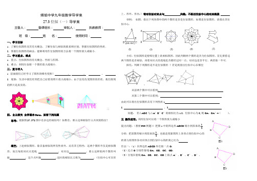 位似(第一课时)(张长金)