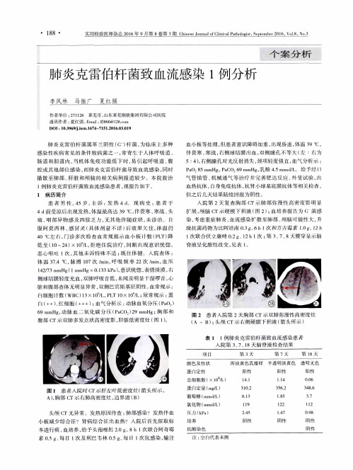 肺炎克雷伯杆菌致血流感染1例分析