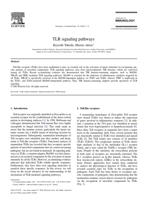 TLR signaling pathways