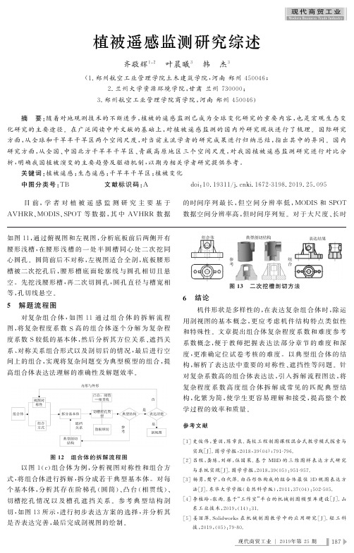 植被遥感监测研究综述