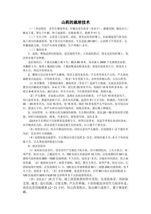 山药的栽培技术