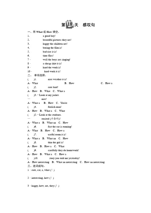 六年级下英语试题-2019小升初专题总复习 第四部分句子 感叹句 全国通用(无答案)