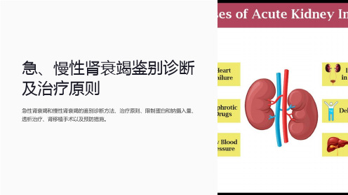 急、慢性肾衰竭鉴别诊断及治疗原则
