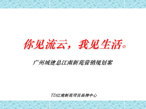 广州城建总江南新苑营销规划案