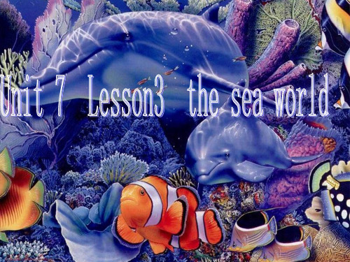 北京市房山区周口店中学高中英语 unit 7 lesson3 the sea world课件