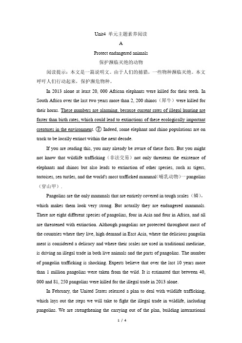 人教版_高一英语必修二_Unit4_单元主题素养阅读