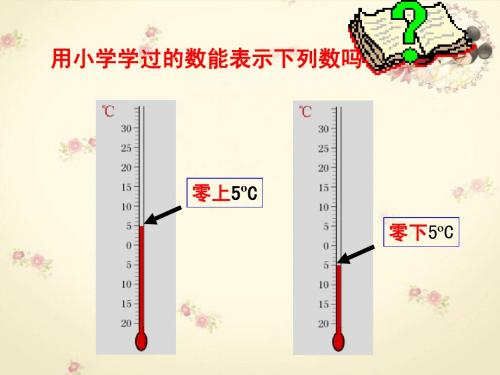 2.1有理数课件ppt北师大版七年级上