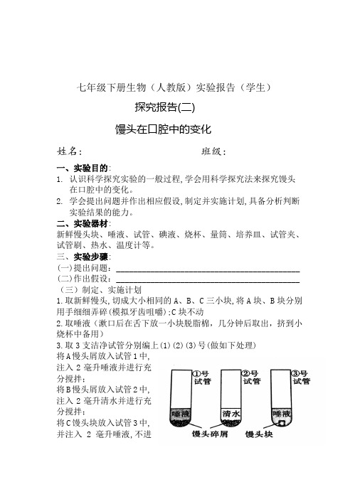 七年级下册生物(人教版)实验报告(学生)探究报告：馒头在口腔中的变化