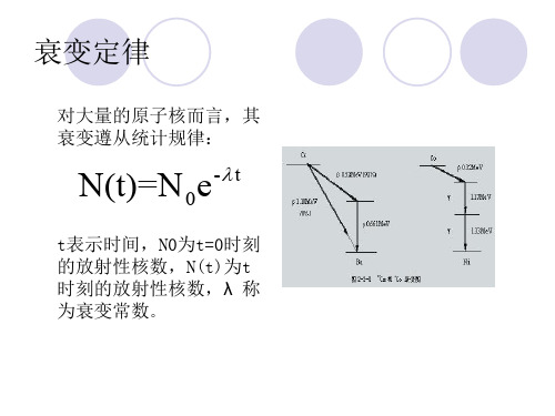 核衰变统计规律的验证