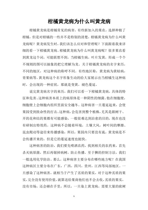 柑橘黄龙病为什么叫黄龙病