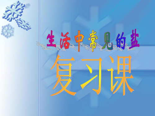 2020-2021学年人教版 化学九年级全册 第十一单元 生活中常见的盐复习 课件