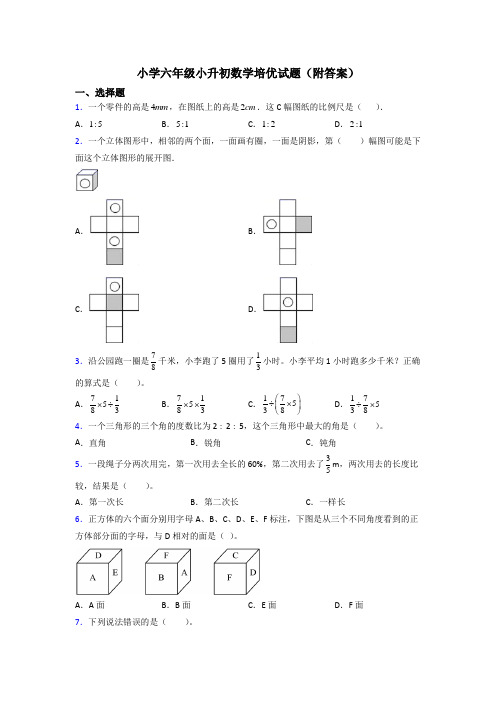 小学六年级小升初数学培优试题(附答案)