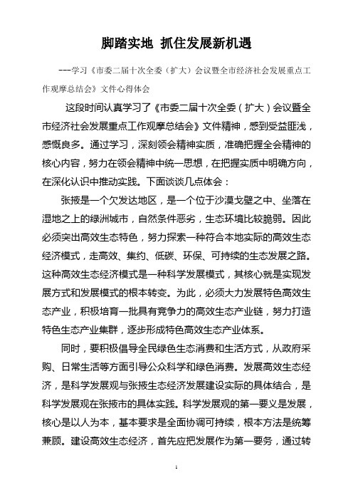 学习《市委二届十次全委(扩大)会议暨全市经济社会发展重点工作观摩总结会》文件心得体会