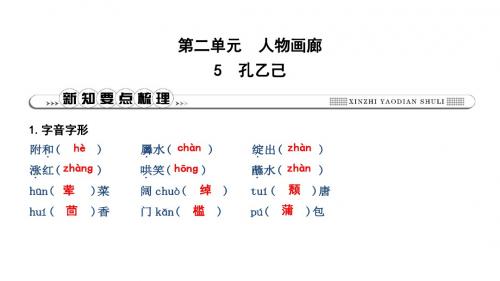 2019年春人教部编版九年级下册语文习题课件：5 孔乙己(共26张PPT)