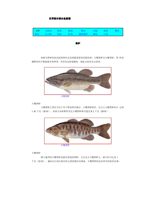 世界部分淡水鱼图谱汇编