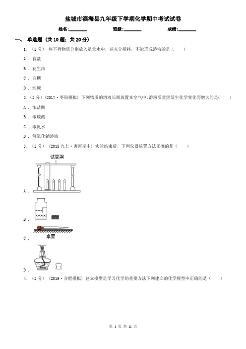 盐城市滨海县九年级下学期化学期中考试试卷