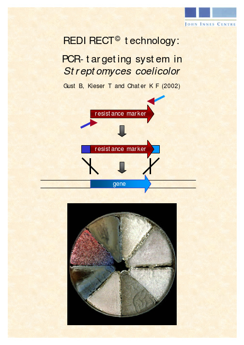 PCR targeting system in Streptomyces coeliclor A3(2)