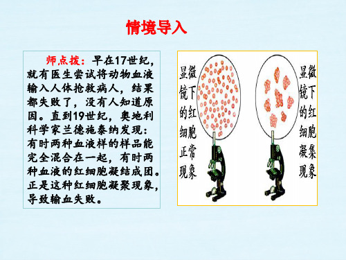 第一节物质运输的载体(第二课时)课件-2023-2024学年济南版生物七年级下册