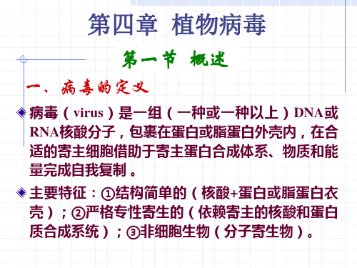 中文- 植物病毒