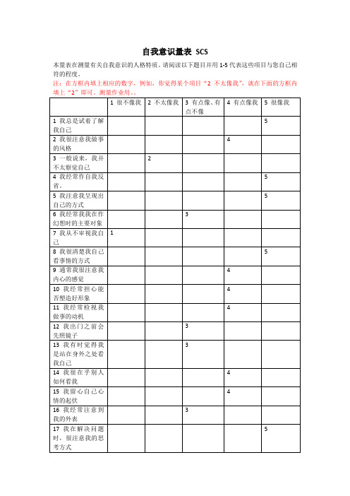 自我意识量表 SCS