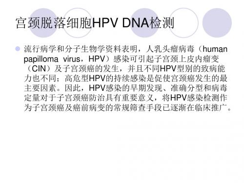 宫颈HPV筛查课件