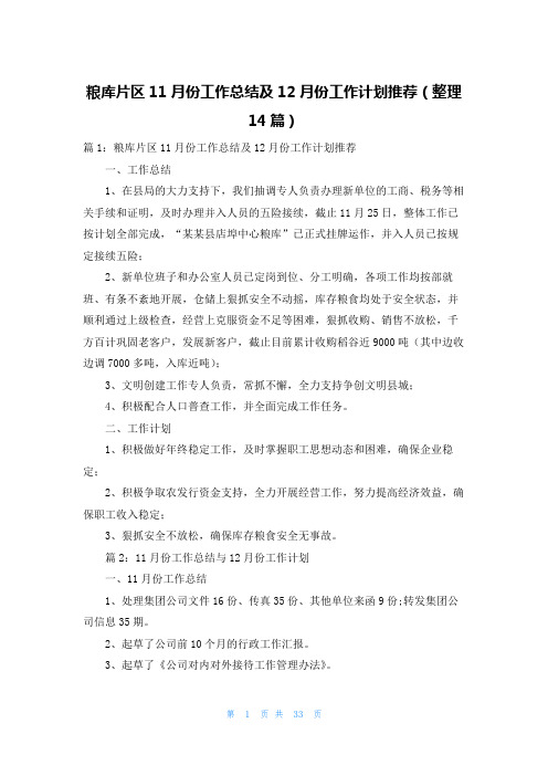 粮库片区11月份工作总结及12月份工作计划推荐(整理14篇)