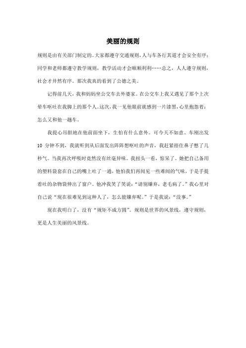 美丽的规则_小学六年级作文400字