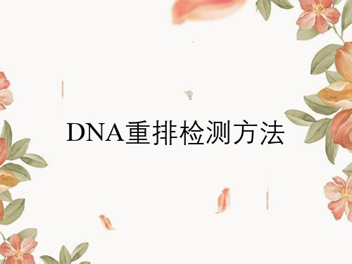 DNA重排检测方法