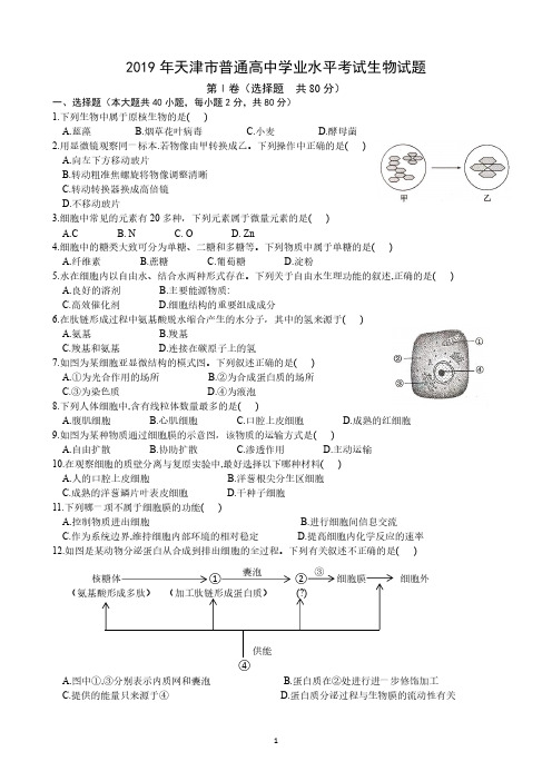 天津市2019年学业水平合格性考试生物试题 真题含答案