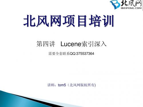 lucene第四讲-Lucene索引深入