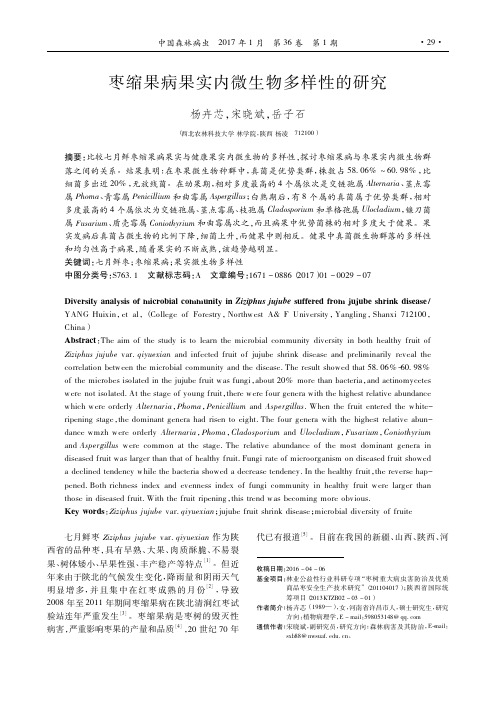 枣缩果病果实内微生物多样性的研究