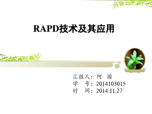 RAPD技术