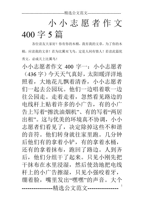 小小志愿者作文400字5篇