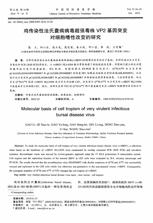 鸡传染性法氏囊病病毒超强毒株VP2基因突变对细胞嗜性改变的研究