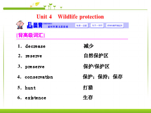 人教版高中英语必修二Unit_4_Wildlife_protection