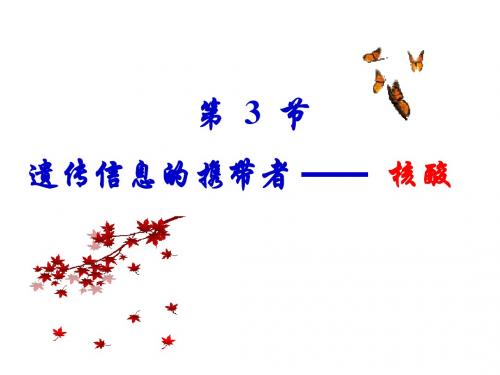 第三节遗传信息的携带者——核酸