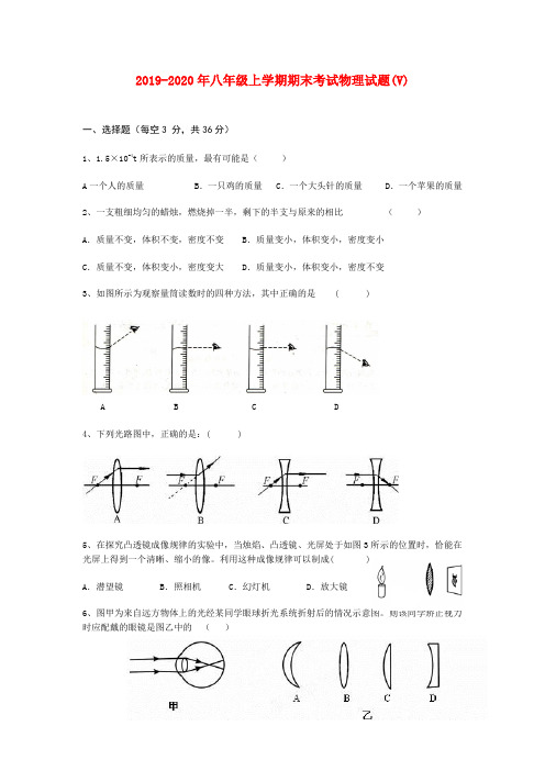 2019-2020年八年级上学期期末考试物理试题(V)