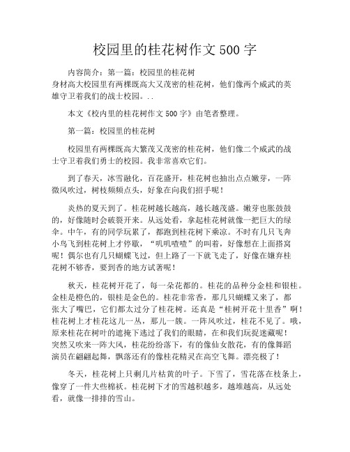 校园里的桂花树作文500字
