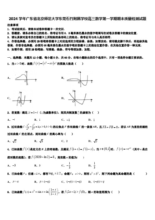 2024学年广东省北京师范大学东莞石竹附属学校高三数学第一学期期末质量检测试题含解析