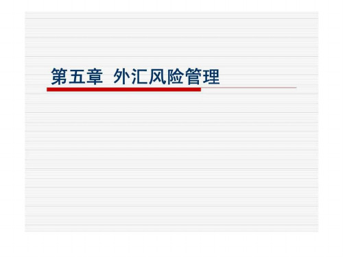 金融第五章_外汇风险管理课件